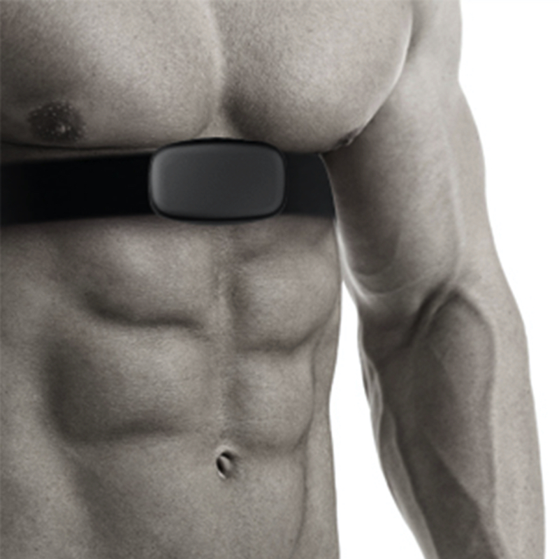 Chest Strap for men