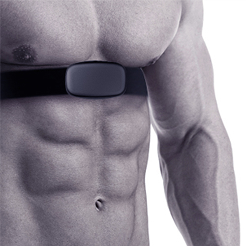 Heart Monitoring Chest Band