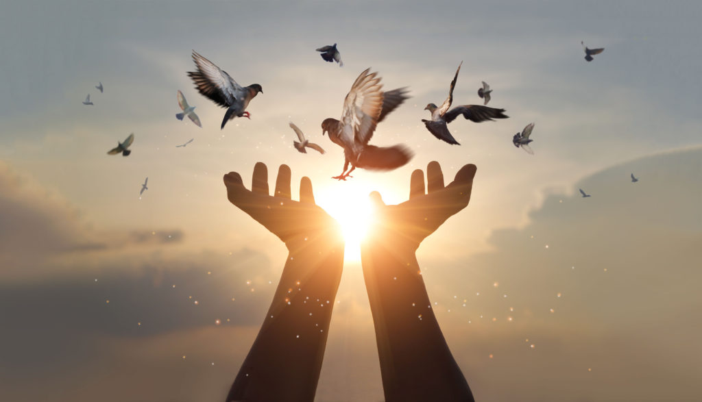 eBook for purposeful life